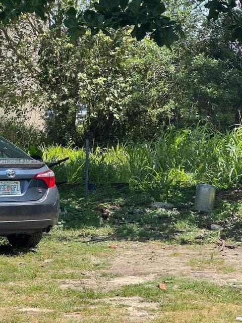 10250 SW 177th St, Miami FL 33157