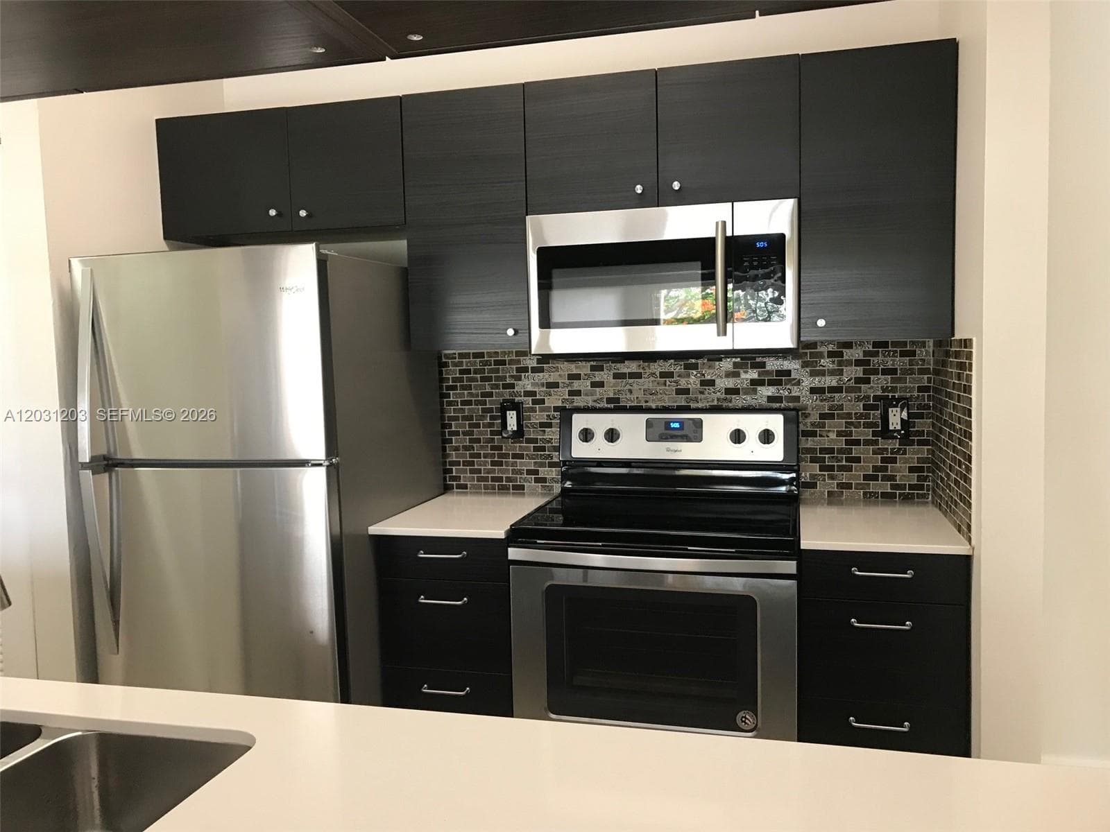15780 SW 106th Ter # 306, Miami FL 33196
