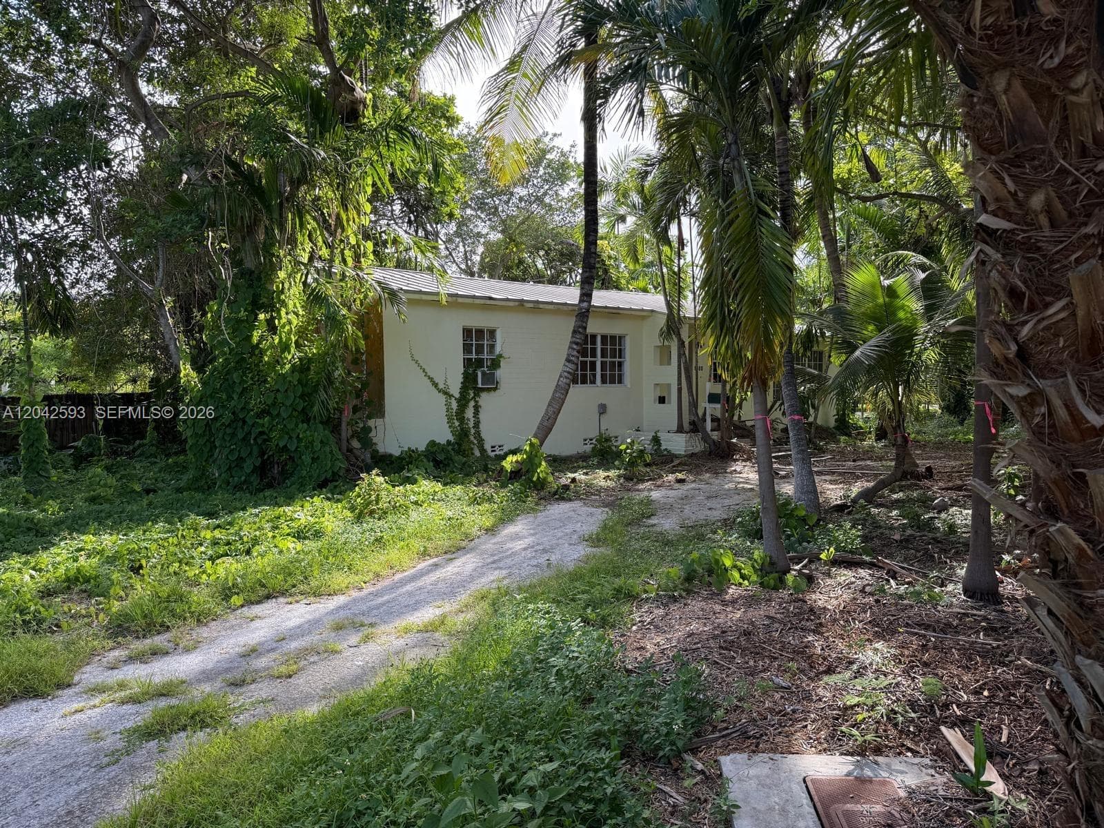 6600 SW 64th Ct, South Miami FL 33143