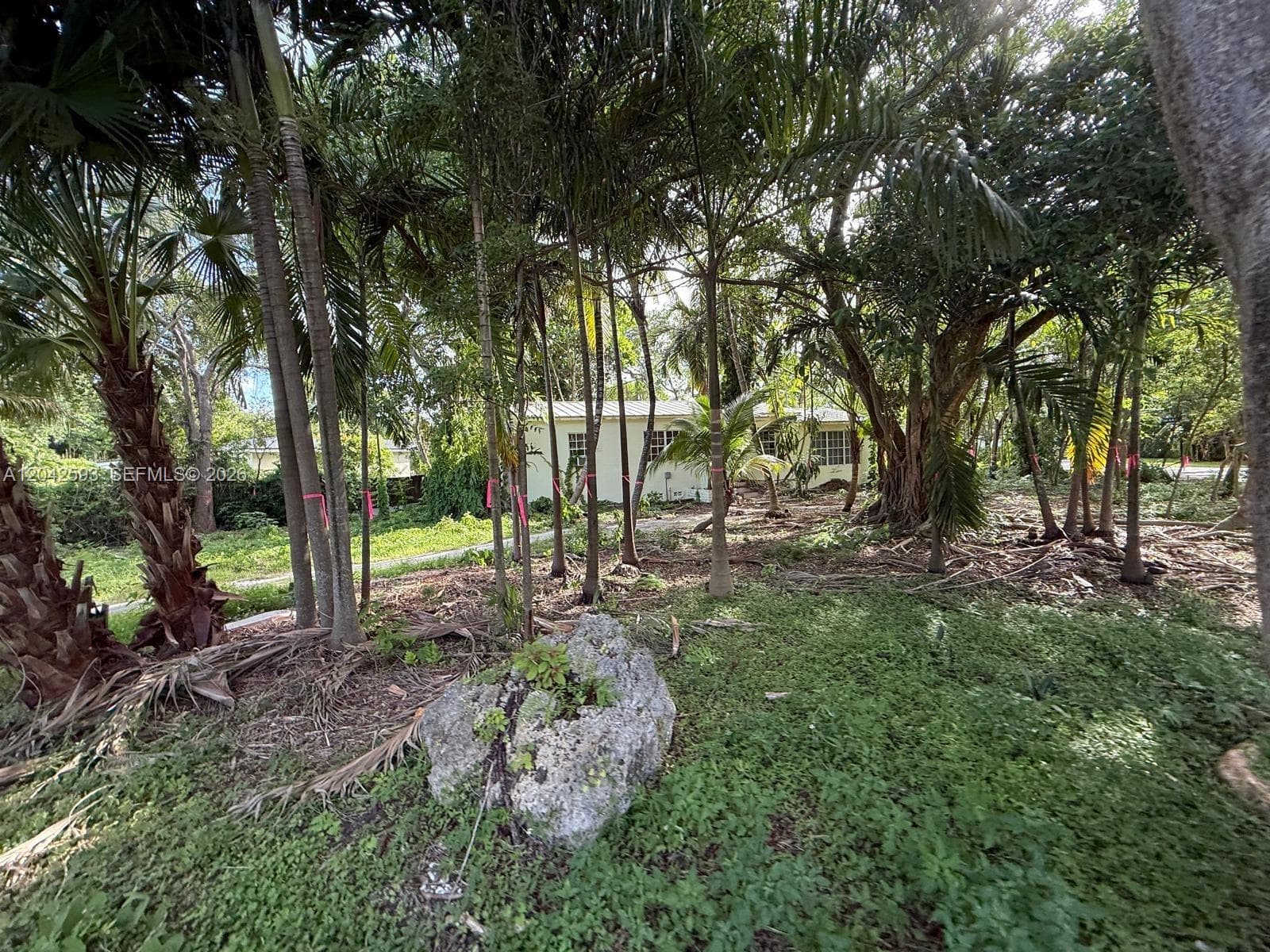 6600 SW 64th Ct, South Miami FL 33143