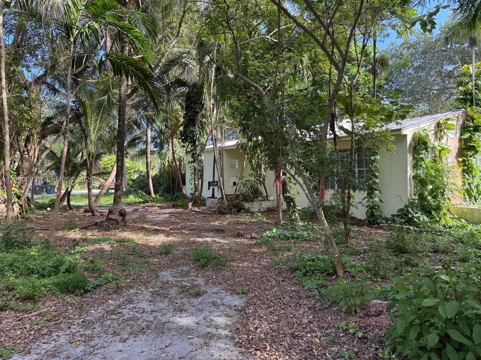 6600 SW 64th Ct, South Miami FL 33143
