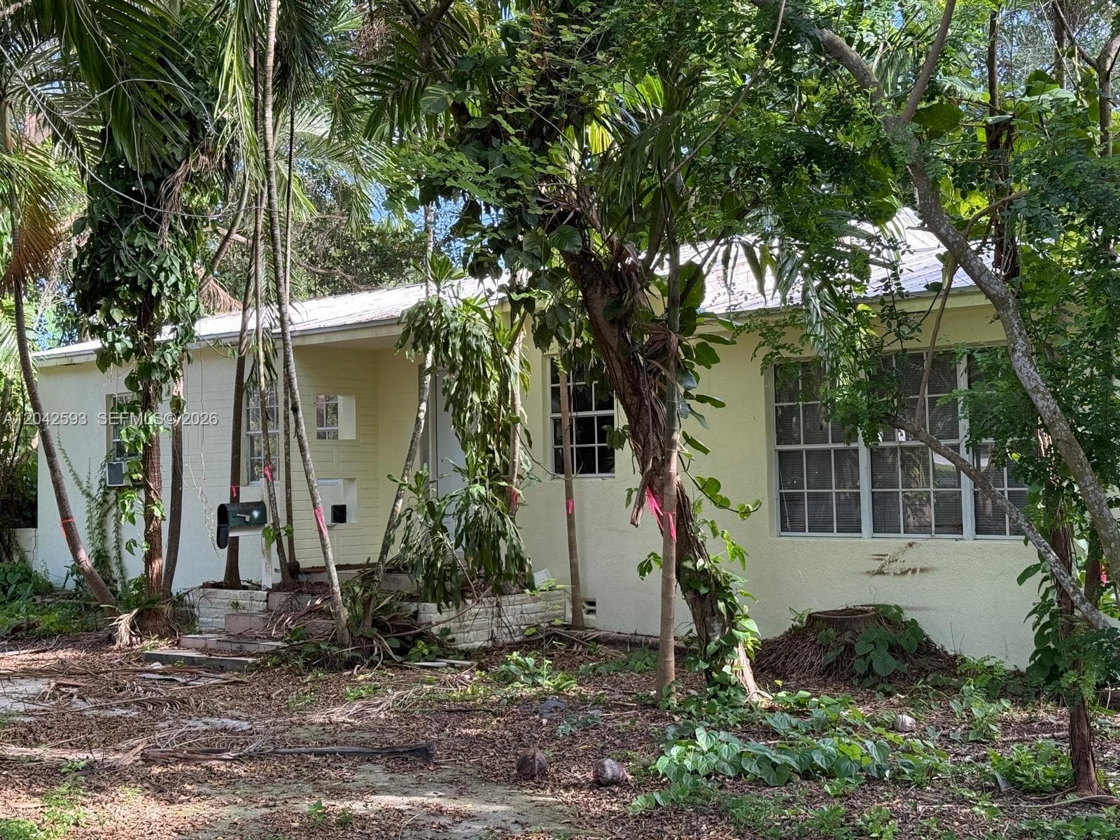 6600 SW 64th Ct, South Miami FL 33143