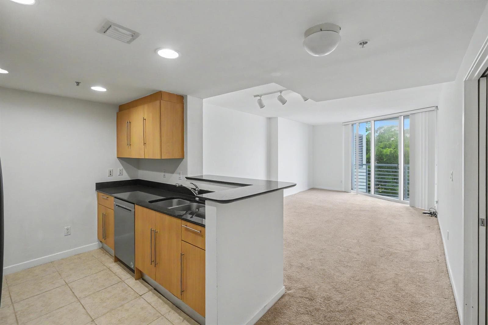 335 S Biscayne Boulevard # 1002, Miami FL 33131