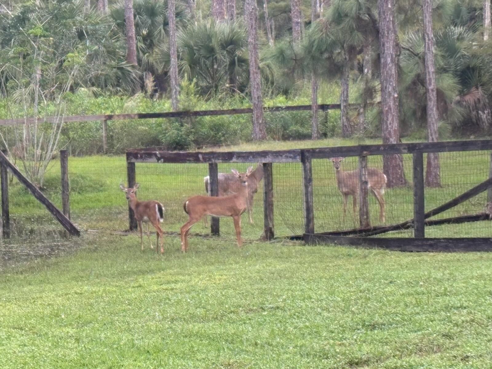 5637 COUGARS PROWL, Lake Worth FL 33449