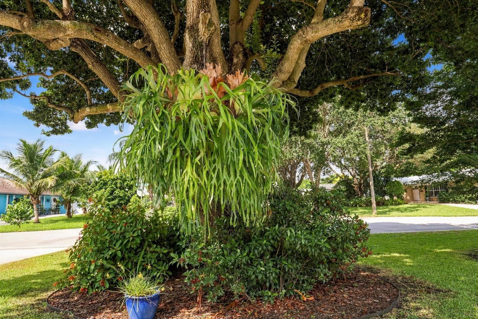 9714 HONEYSUCKLE Avenue, Palm Beach Gardens FL 33410