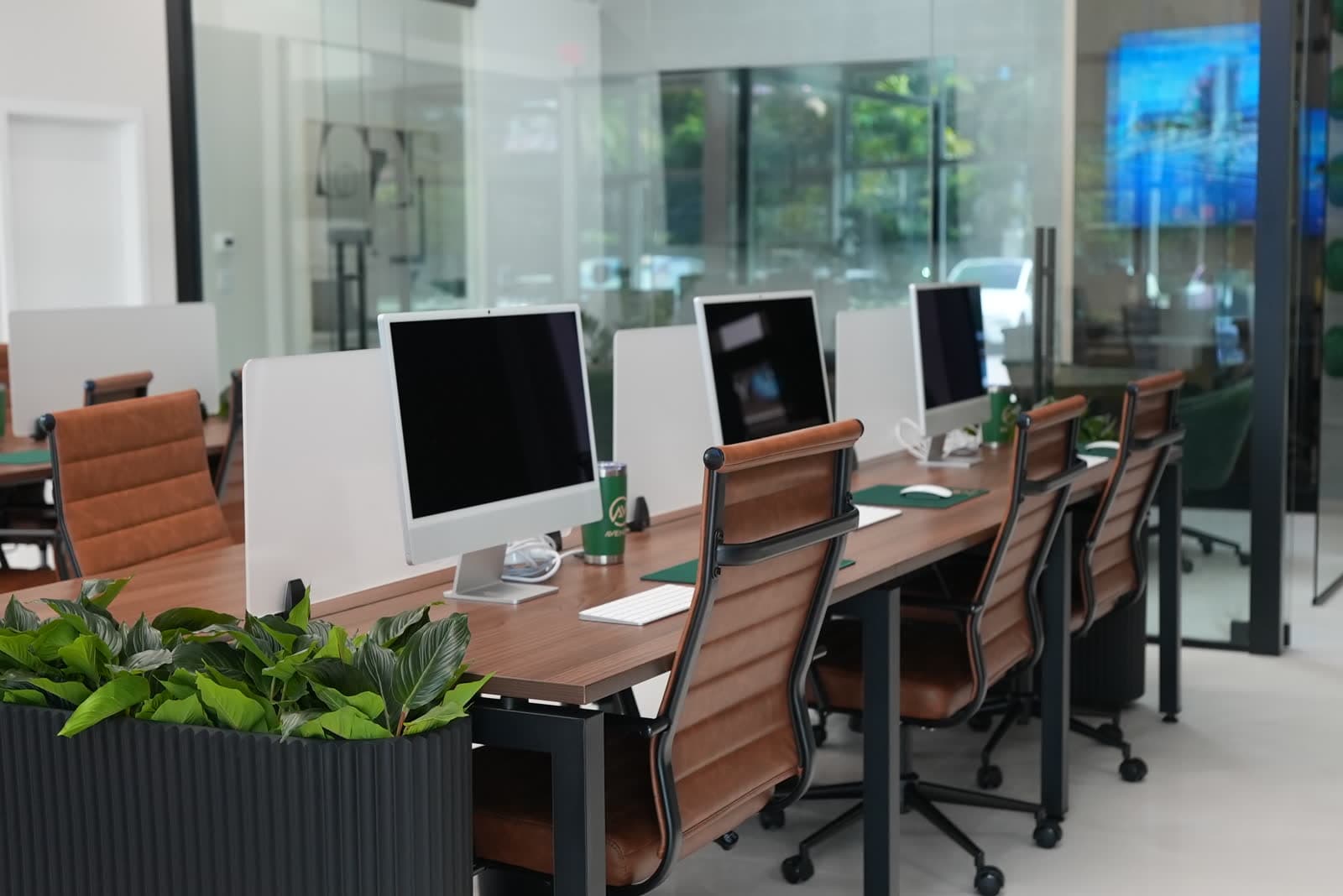 Open desks lined with plants