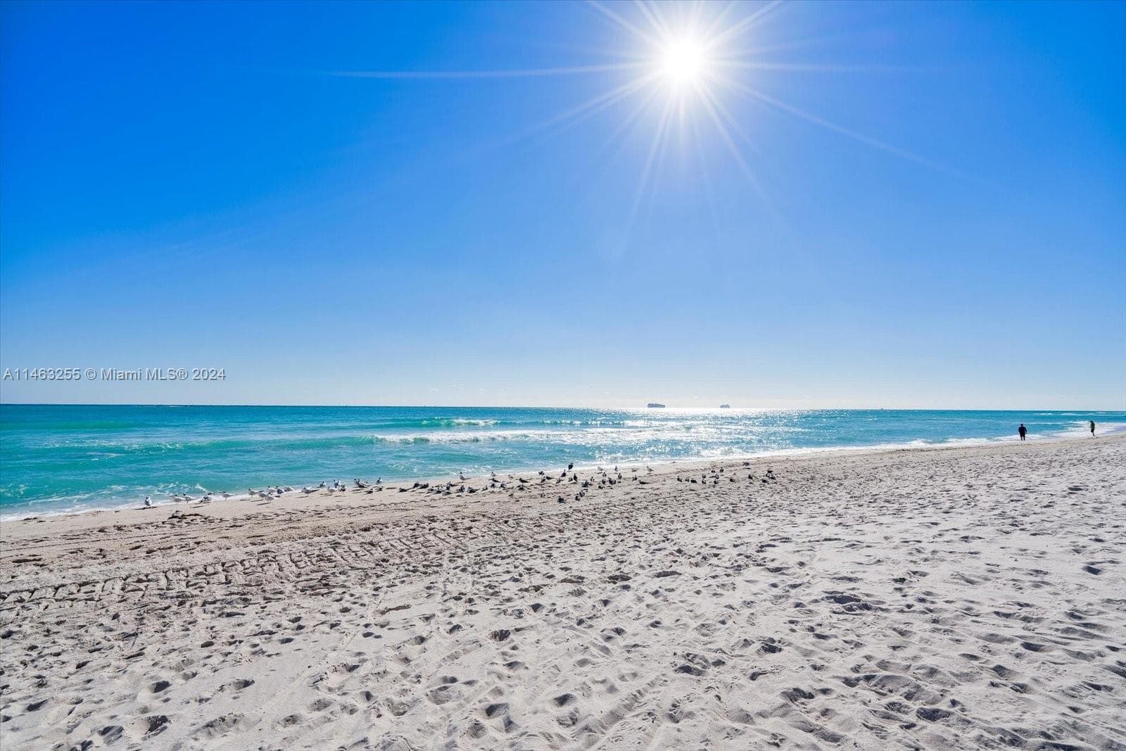 5601 Collins Ave # 1514, Miami Beach FL 33140