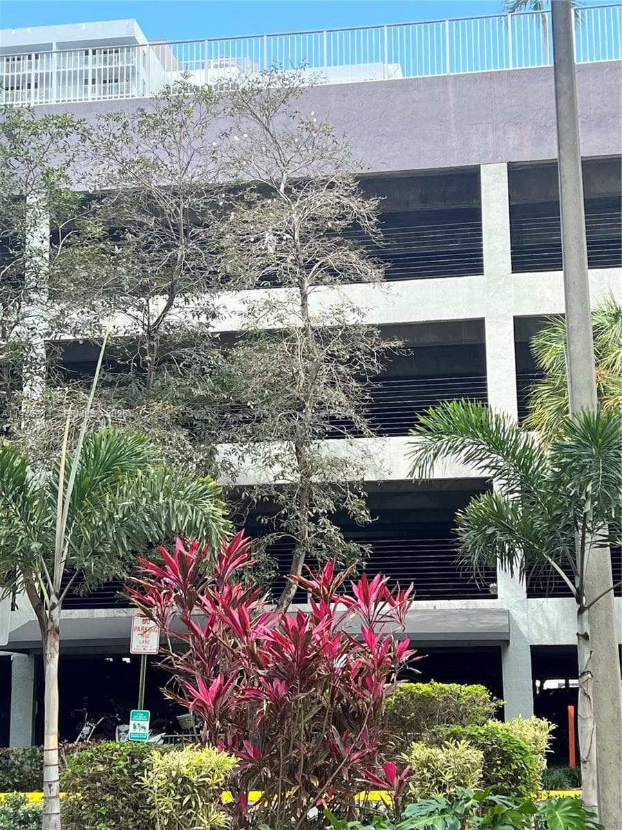850 N Miami Ave # 1806, Miami FL 33136