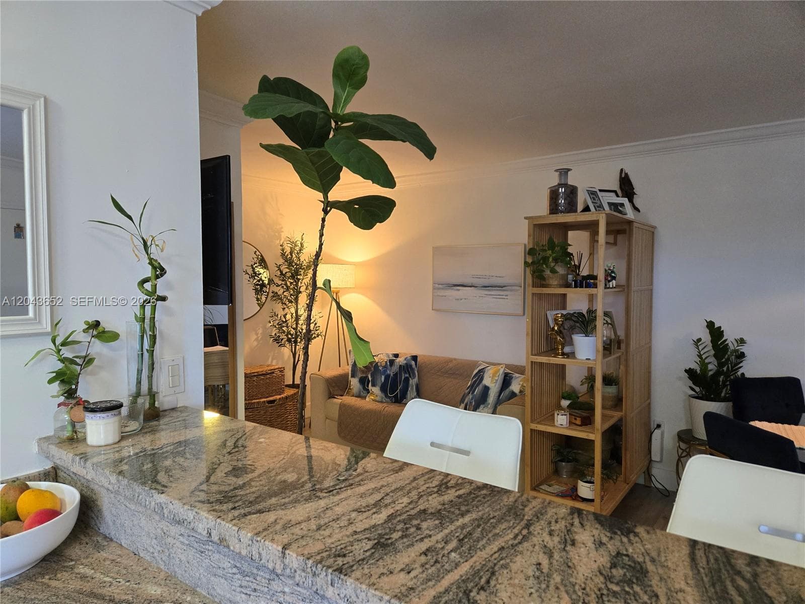 820 Salzedo St # 405, Coral Gables FL 33134
