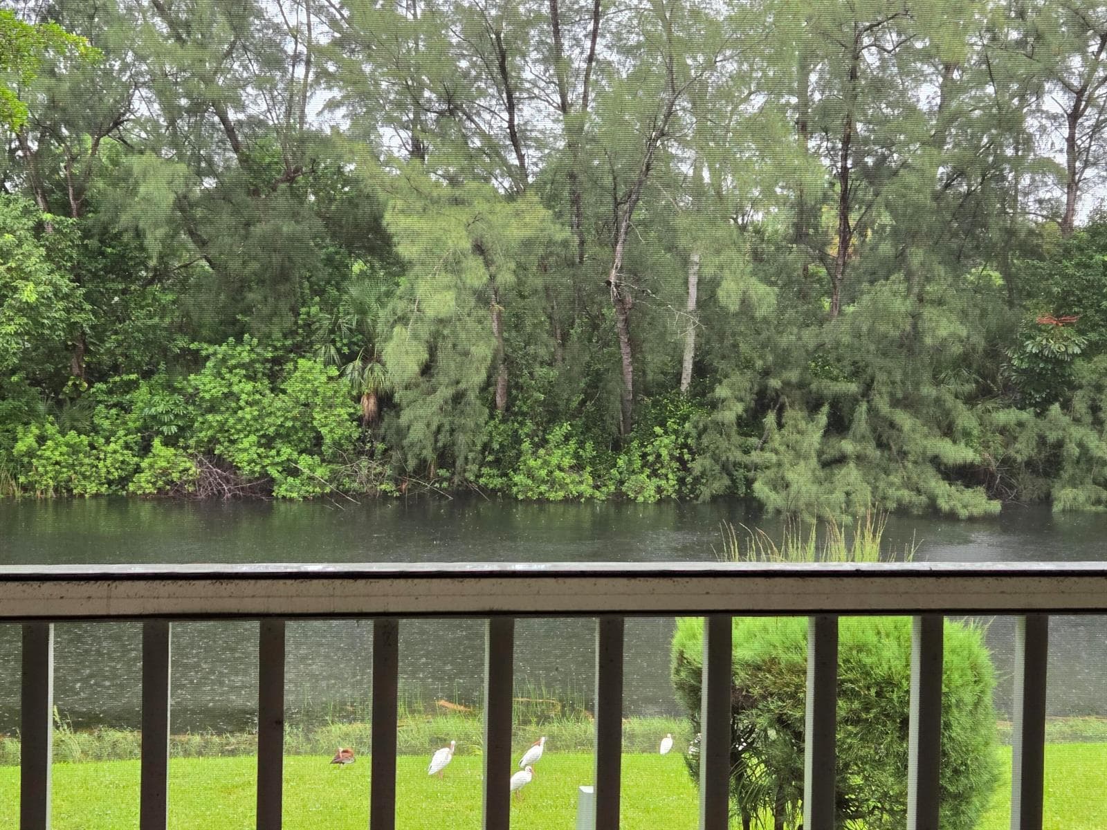 130 Lake Meryl Drive, West Palm Beach FL 33411