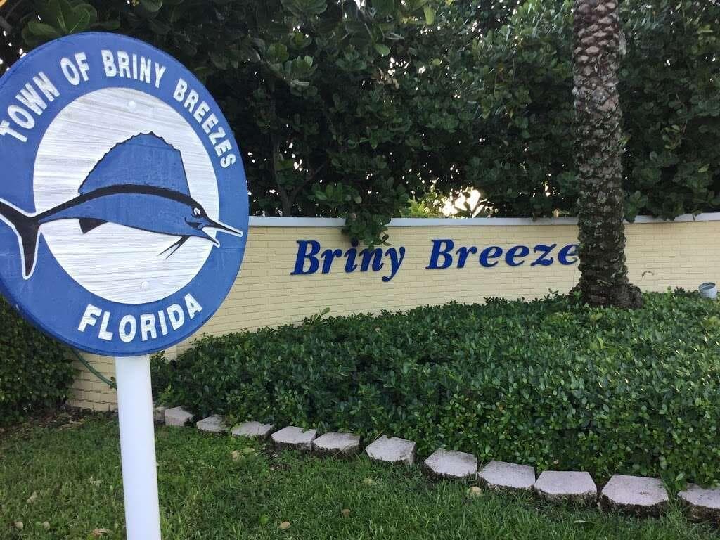 15 HIBISCUS Drive # H, Briny Breezes FL 33435