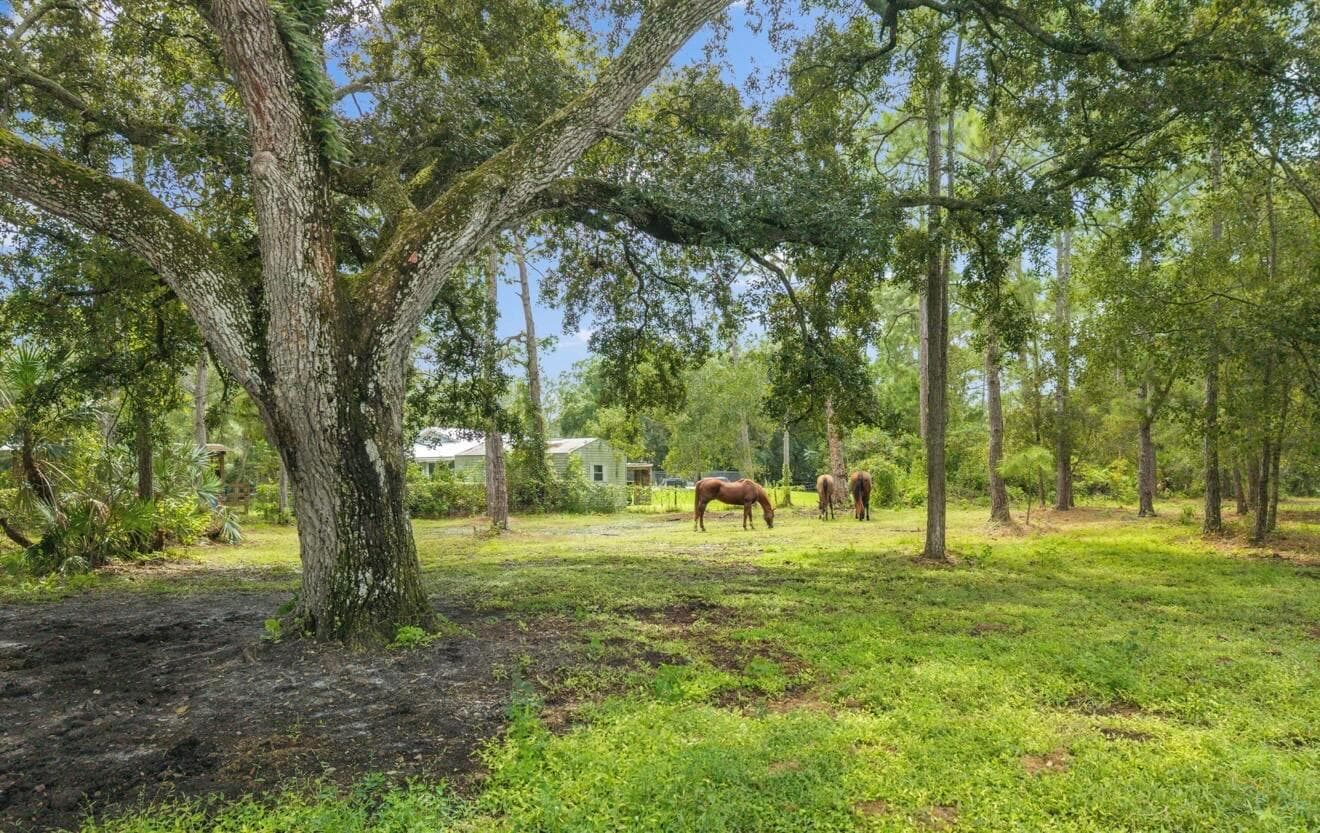 13351 NE 22nd Avenue, Okeechobee FL 34972
