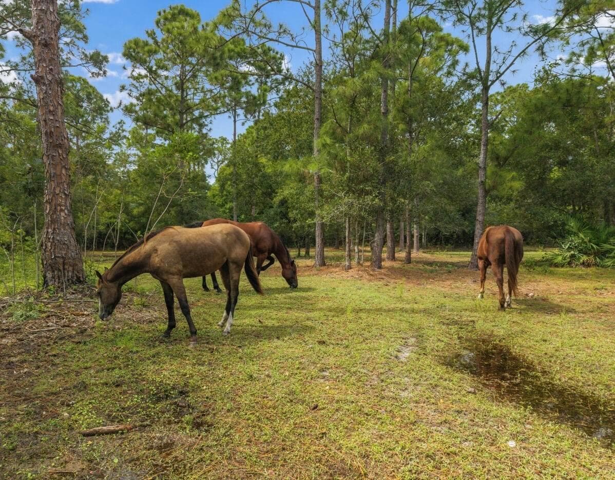 13351 NE 22nd Avenue, Okeechobee FL 34972