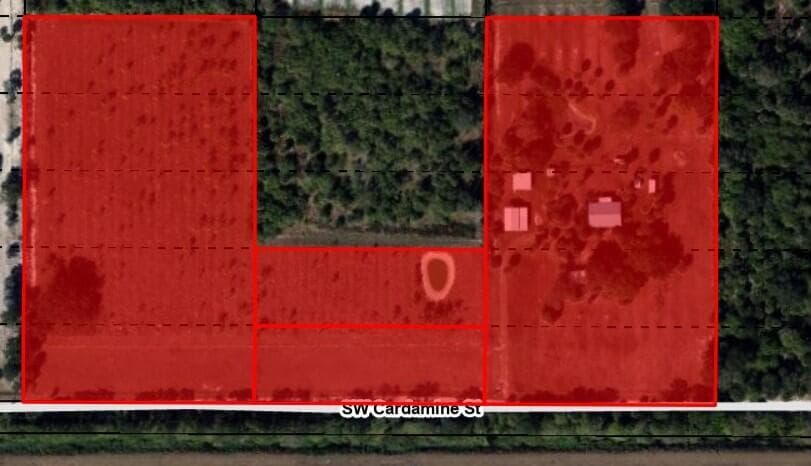 23101 SW CARDAMINE Street, FL 34956