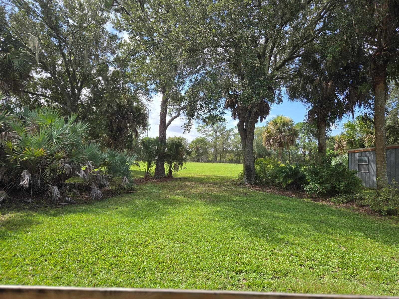 23101 SW CARDAMINE Street, FL 34956