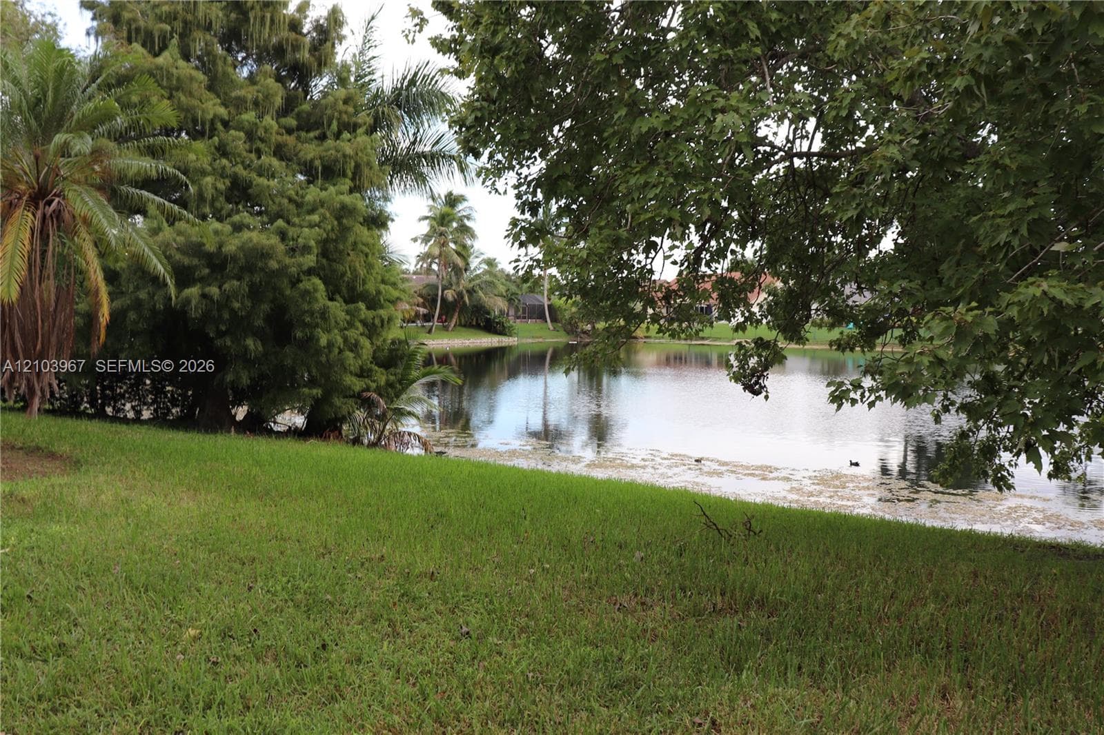 16258 NW 12th St, Pembroke Pines FL 33028